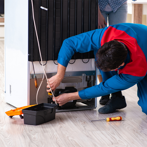 what are the common refrigerator repair services in Meadow Woods Florida